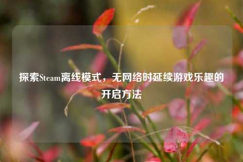 探索Steam离线模式，无网络时延续游戏乐趣的开启方法
