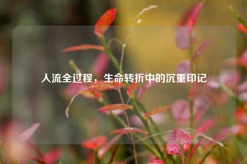 人流全过程，生命转折中的沉重印记