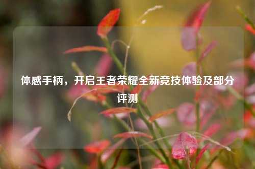 体感手柄，开启王者荣耀全新竞技体验及部分评测