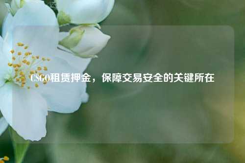 CSGO租赁押金，保障交易安全的关键所在