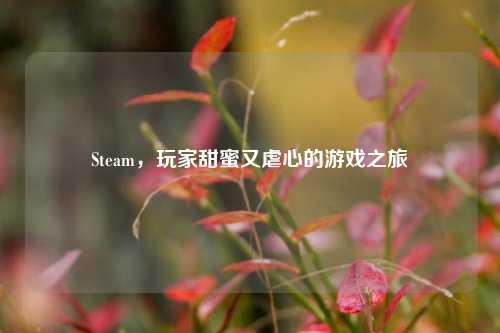 Steam，玩家甜蜜又虐心的游戏之旅