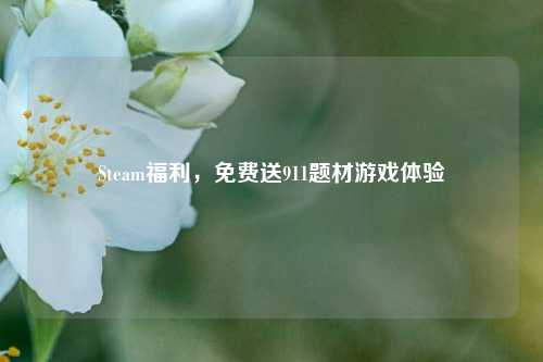 Steam福利，免费送911题材游戏体验