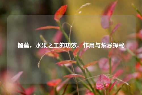 榴莲，水果之王的功效、作用与禁忌探秘