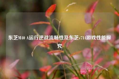 东芝M40 A运行逆战流畅性及东芝v714游戏性能探究