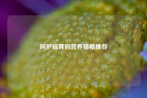 呵护肠胃的营养猫粮推荐