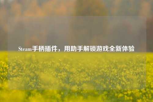 Steam手柄插件，用助手解锁游戏全新体验