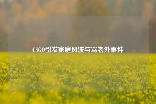 CSGO引发家庭风波与骂老外事件