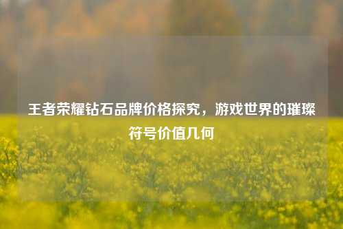 王者荣耀钻石品牌价格探究，游戏世界的璀璨符号价值几何