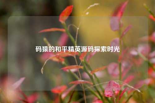 码猿的和平精英源码探索时光