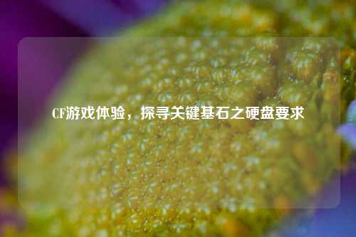 CF游戏体验，探寻关键基石之硬盘要求