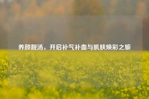 养颜靓汤，开启补气补血与肌肤焕彩之旅