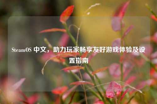 SteamOS 中文，助力玩家畅享友好游戏体验及设置指南