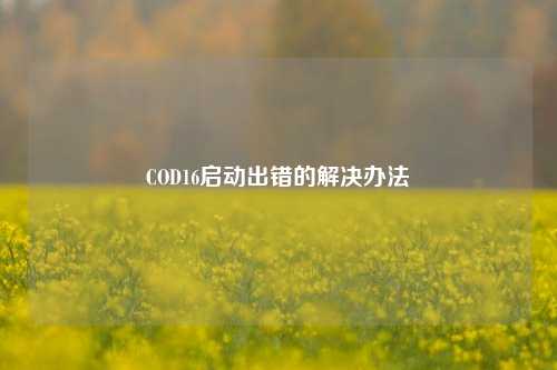COD16启动出错的解决办法