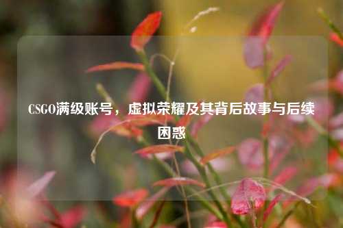 CSGO满级账号，虚拟荣耀及其背后故事与后续困惑