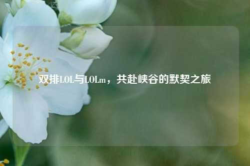 双排LOL与LOLm，共赴峡谷的默契之旅
