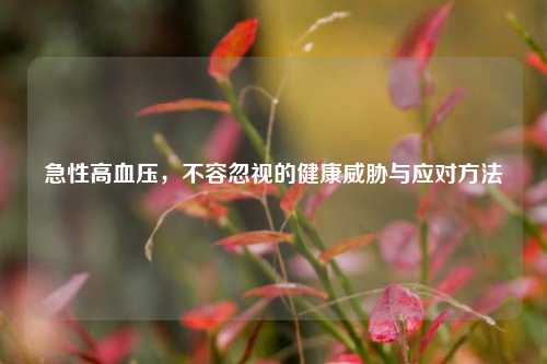 急性高血压，不容忽视的健康威胁与应对方法