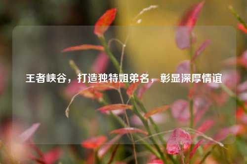 王者峡谷，打造独特姐弟名，彰显深厚情谊
