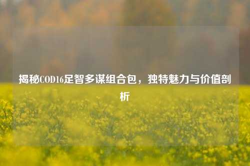 揭秘COD16足智多谋组合包，独特魅力与价值剖析