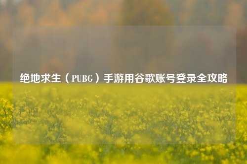 绝地求生（PUBG）手游用谷歌账号登录全攻略