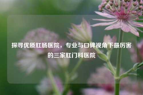 探寻优质肛肠医院，专业与口碑视角下最厉害的三家肛门科医院