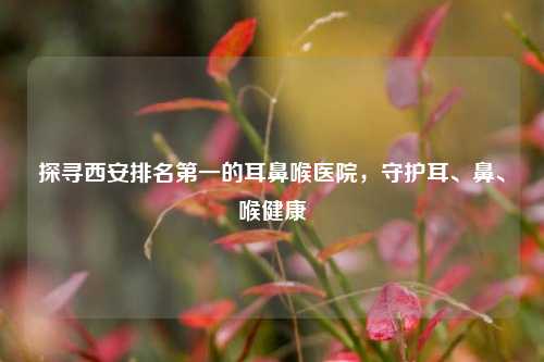 探寻西安排名第一的耳鼻喉医院，守护耳、鼻、喉健康