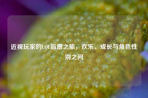 近视玩家的LOL盲僧之旅，欢乐、成长与角色性别之问