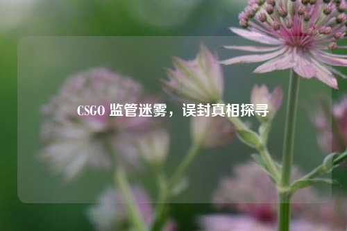 CSGO 监管迷雾，误封真相探寻