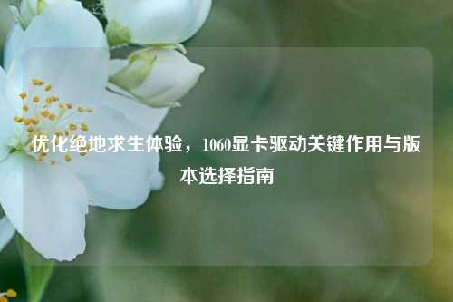优化绝地求生体验，1060显卡驱动关键作用与版本选择指南