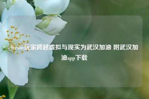 Steam玩家跨越虚拟与现实为武汉加油 附武汉加油app下载