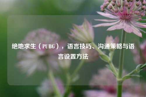 绝地求生（PUBG），语言技巧、沟通策略与语言设置方法