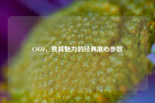 CSGO，独具魅力的经典准心参数