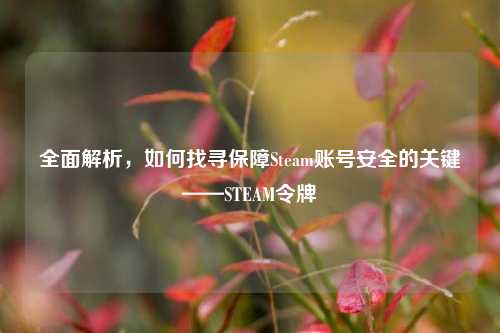 全面解析，如何找寻保障Steam账号安全的关键——STEAM令牌