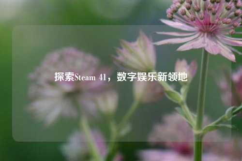 探索Steam 41，数字娱乐新领地