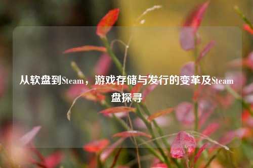 从软盘到Steam，游戏存储与发行的变革及Steam盘探寻
