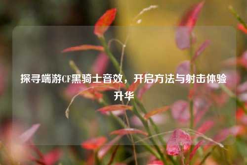 探寻端游CF黑骑士音效，开启方法与射击体验升华