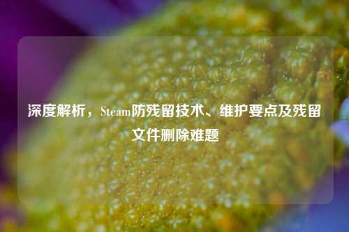 深度解析，Steam防残留技术、维护要点及残留文件删除难题