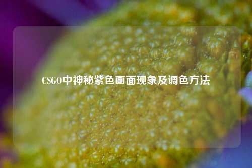 CSGO中神秘紫色画面现象及调色方法