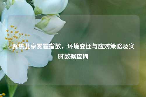聚焦北京雾霾指数，环境变迁与应对策略及实时数据查询