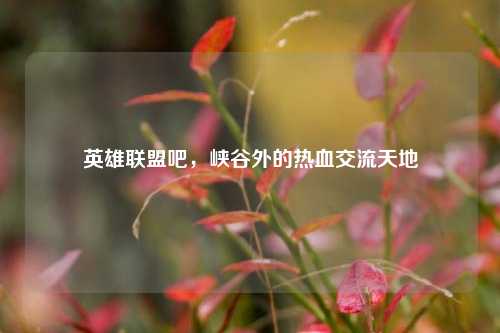 英雄联盟吧，峡谷外的热血交流天地