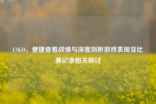 CSGO，便捷查看战绩与深度剖析游戏表现及比赛记录相关探讨
