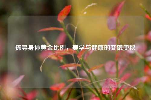 探寻身体黄金比例，美学与健康的交融奥秘
