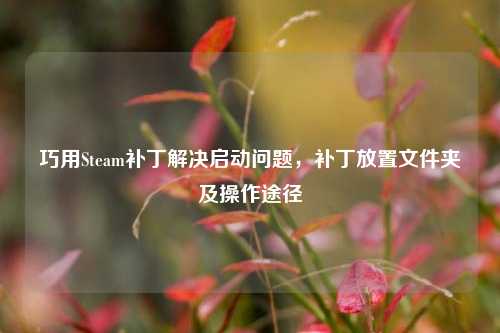 巧用Steam补丁解决启动问题，补丁放置文件夹及操作途径