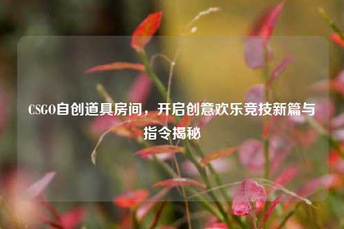 CSGO自创道具房间，开启创意欢乐竞技新篇与指令揭秘
