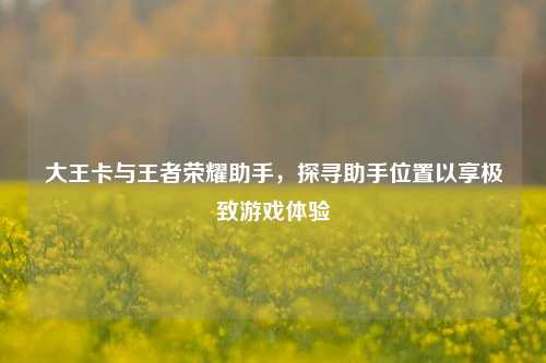 大王卡与王者荣耀助手，探寻助手位置以享极致游戏体验
