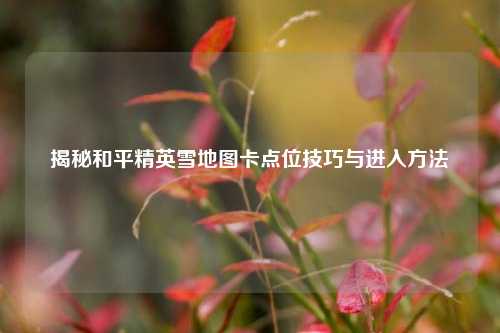揭秘和平精英雪地图卡点位技巧与进入方法