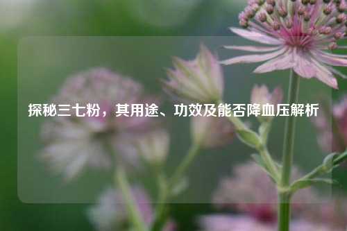 探秘三七粉，其用途、功效及能否降血压解析