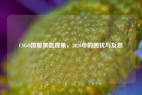 CSGO国服黑血现象，2020年的困扰与反思