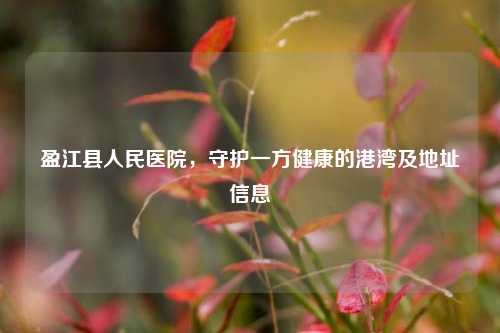 盈江县人民医院，守护一方健康的港湾及地址信息