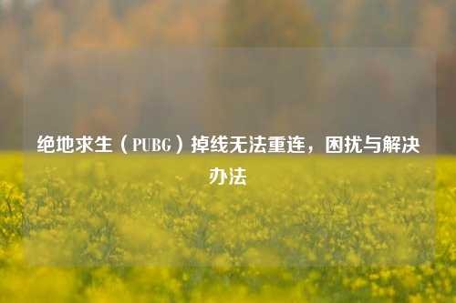 绝地求生（PUBG）掉线无法重连，困扰与解决办法