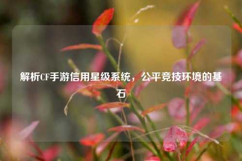 解析CF手游信用星级系统，公平竞技环境的基石